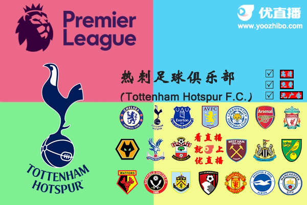 2019-20赛季<a href=/gaoqingzuqiu/hotspur/ target=_blank class=infotextkey>热刺</a>阵容名单一览